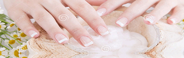 Venus Nail Spa 2835 SW 91st St Gainesville Florida 